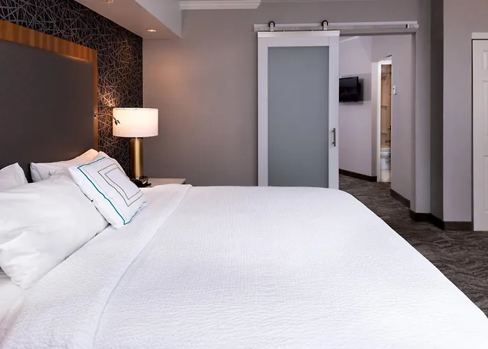 Springhill Suites By Marriott Pittsburgh North Shore